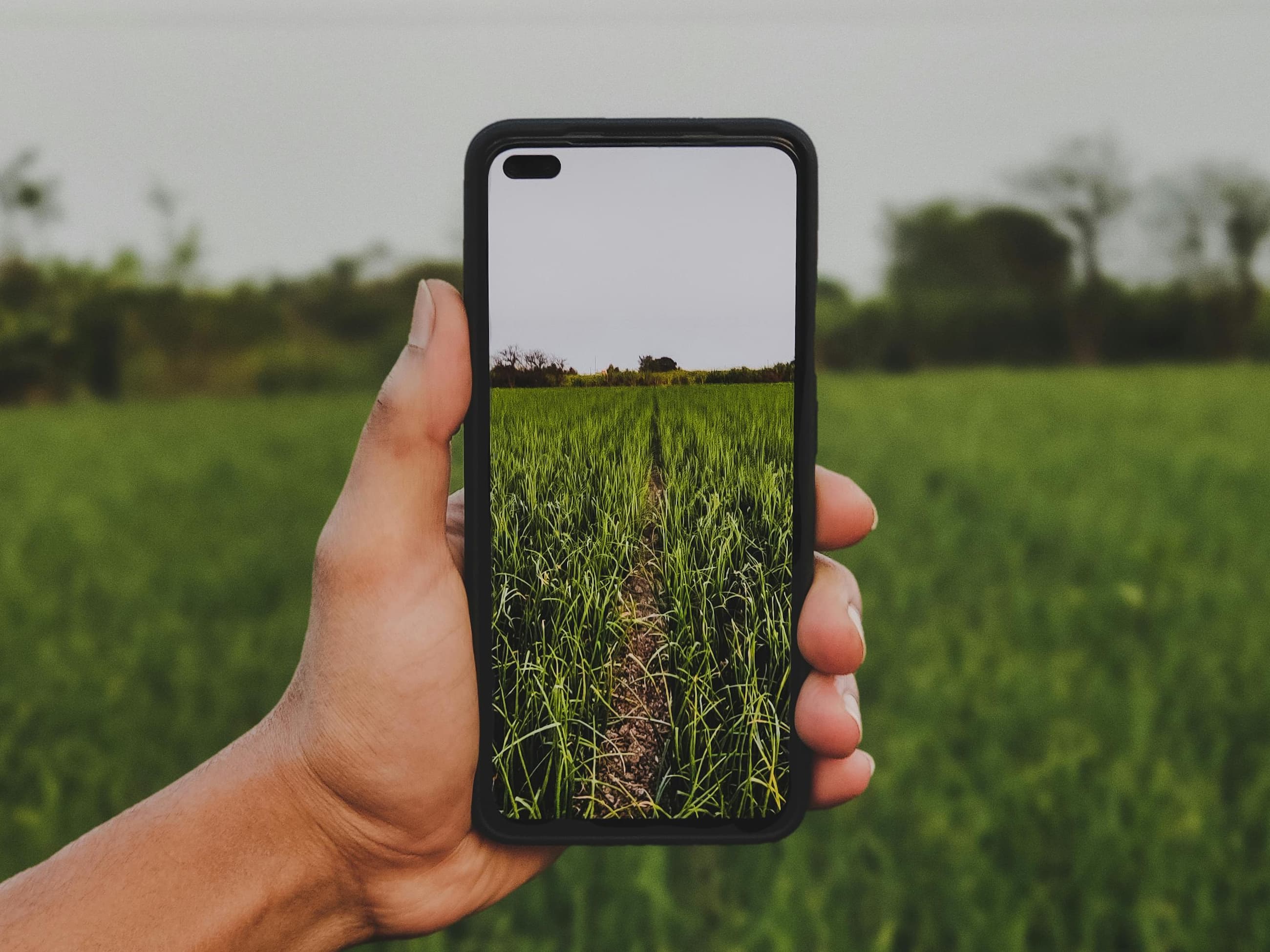 Green Earth Conservancy